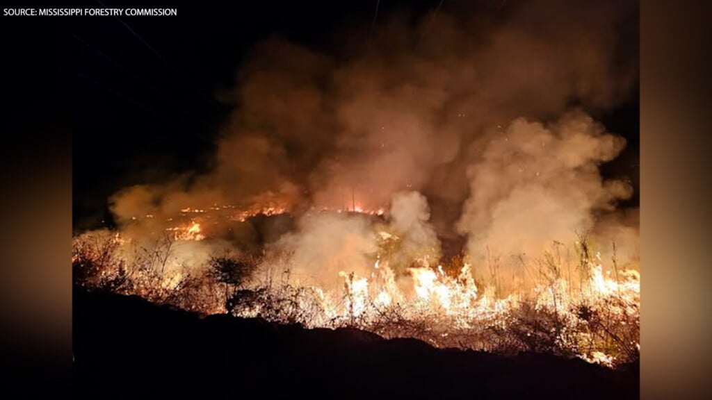 S Mfc Wildfire Vo00 00 00 00still001