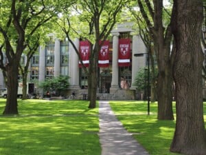 Harvard University