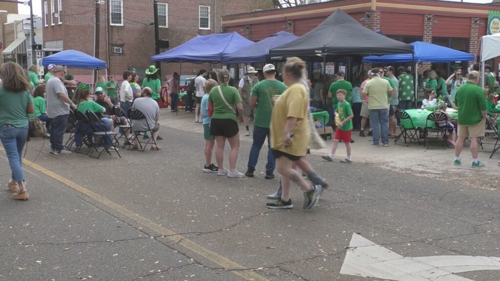 Su Zacharys Pawty Picture