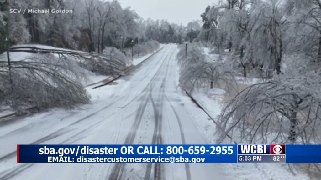 The Small Business Administration Is Opening Up Loan Process For Businesses, Non Profits, And Individuals Affected By The Winter Storm