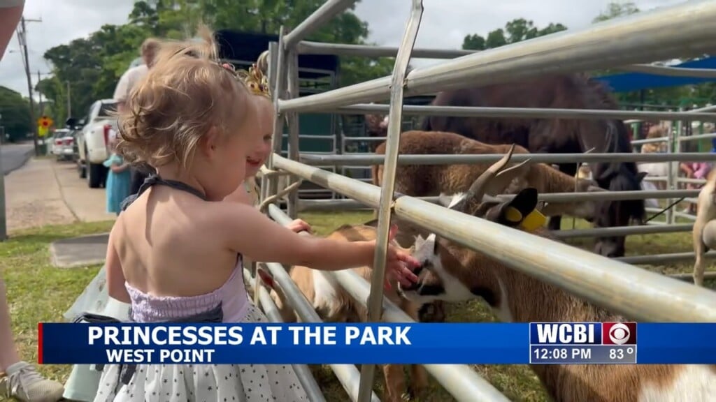 West Point Crown Club Hosts Annual Princess Tea For West Point Community