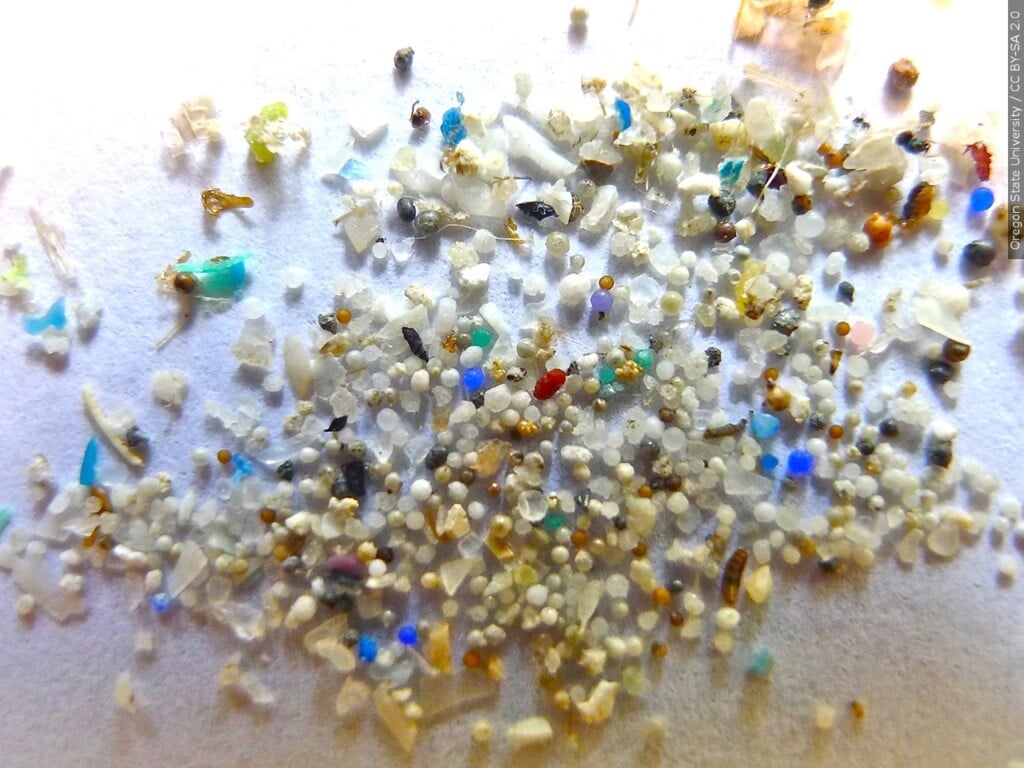 Microplastics