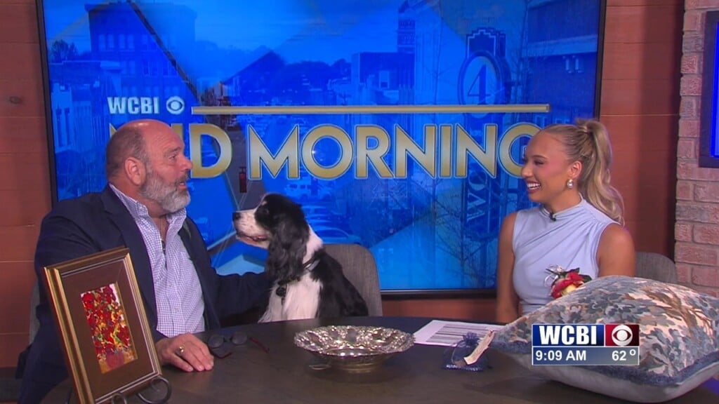 Mid Morning (southern Exchange) 04/08/26