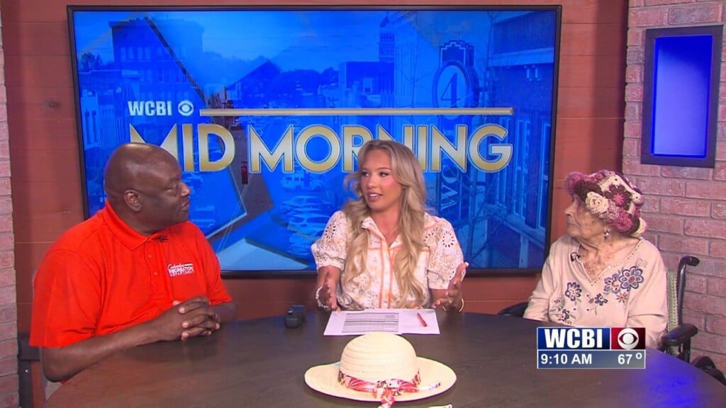 Mid Morning (sally Gray Hat Day) 04/13/26