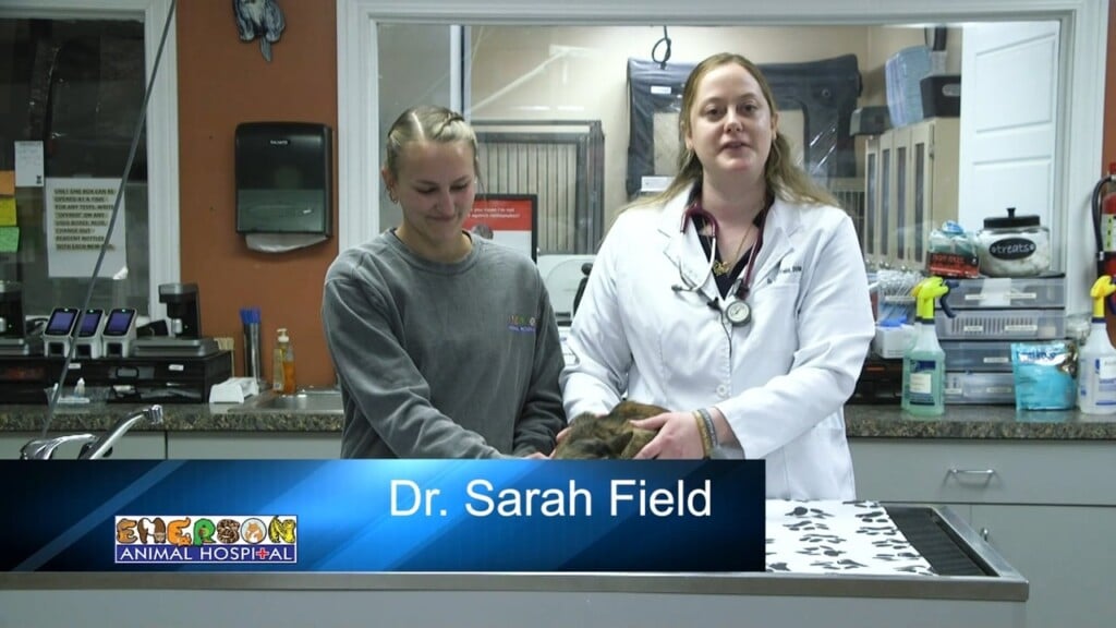 Animal Health (animal Diabetes) 04/09/26