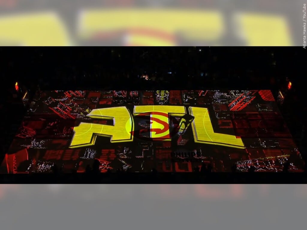 Atlanta hawks