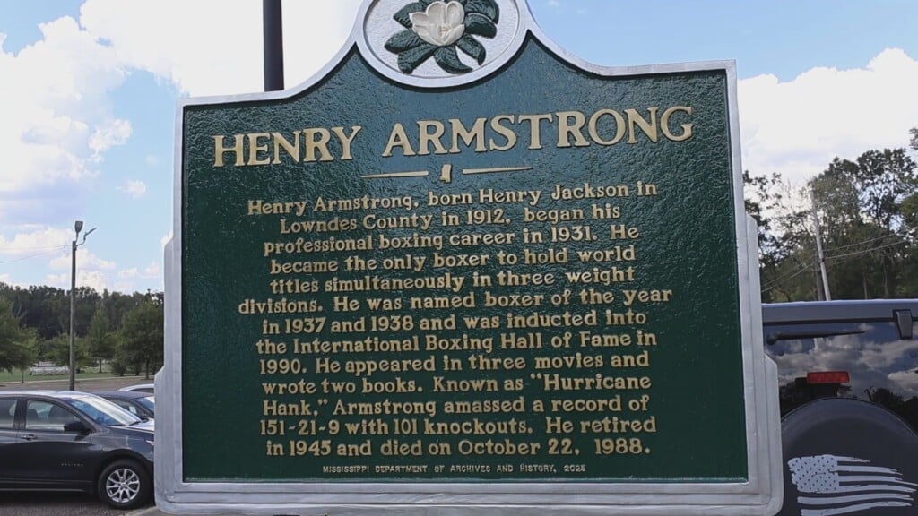 Catfish In Alley History