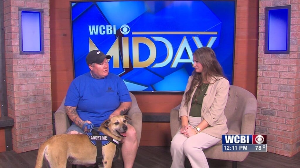 Pets Without Partners (donnie) 04/24/26