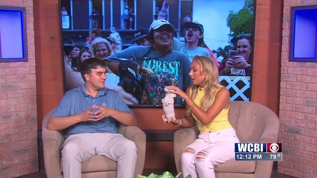 Midday (starkville Dachshund Derby) 04/23/26