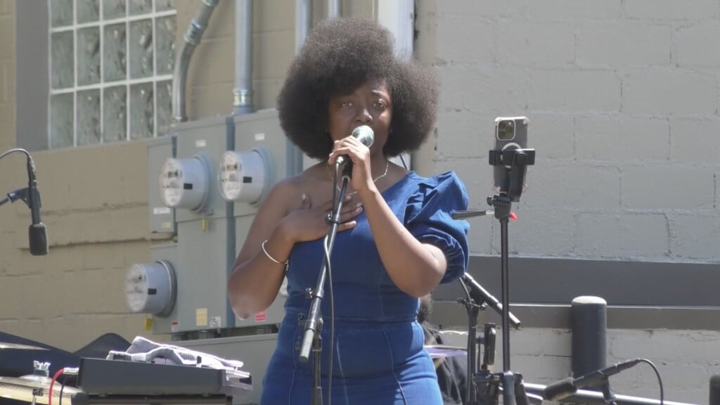 Catfish In Alley Festival