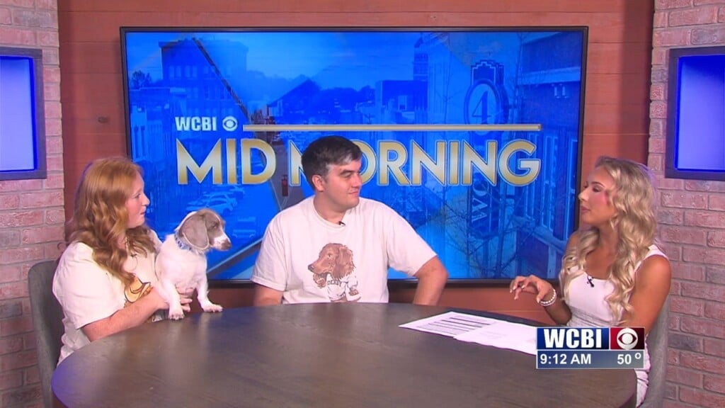 Mid Morning (the Starkville Dachshund Derby) 04/20/26