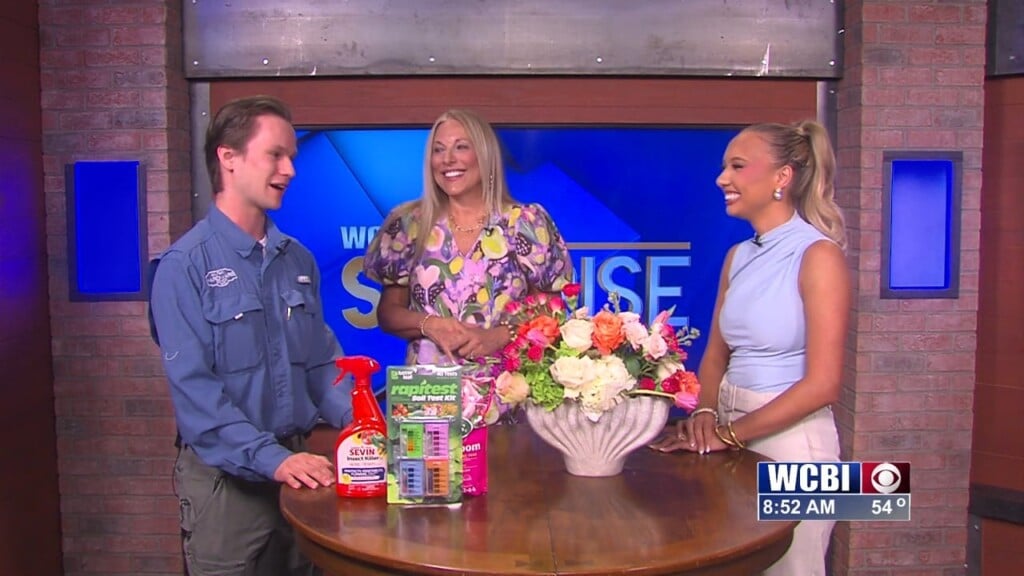 Wcbi Sunrise (what You Need To Know Wednesdays) 04/08/26