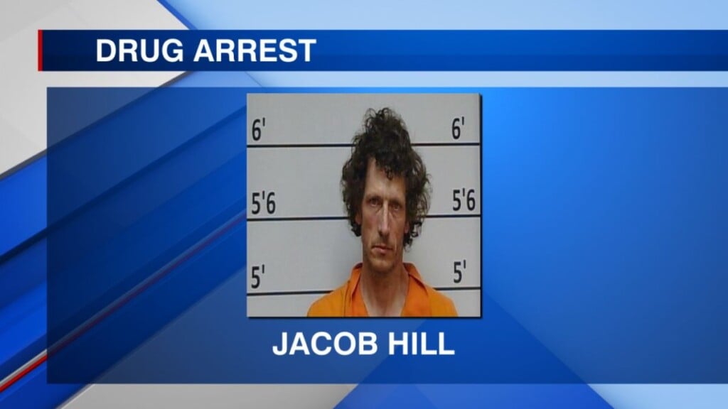 Man arrested on several charges in Tishomingo Co.