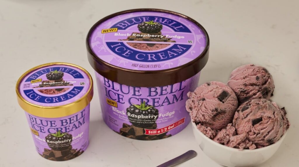 Blue Bell Black Raspberry Fudge Ice Cream