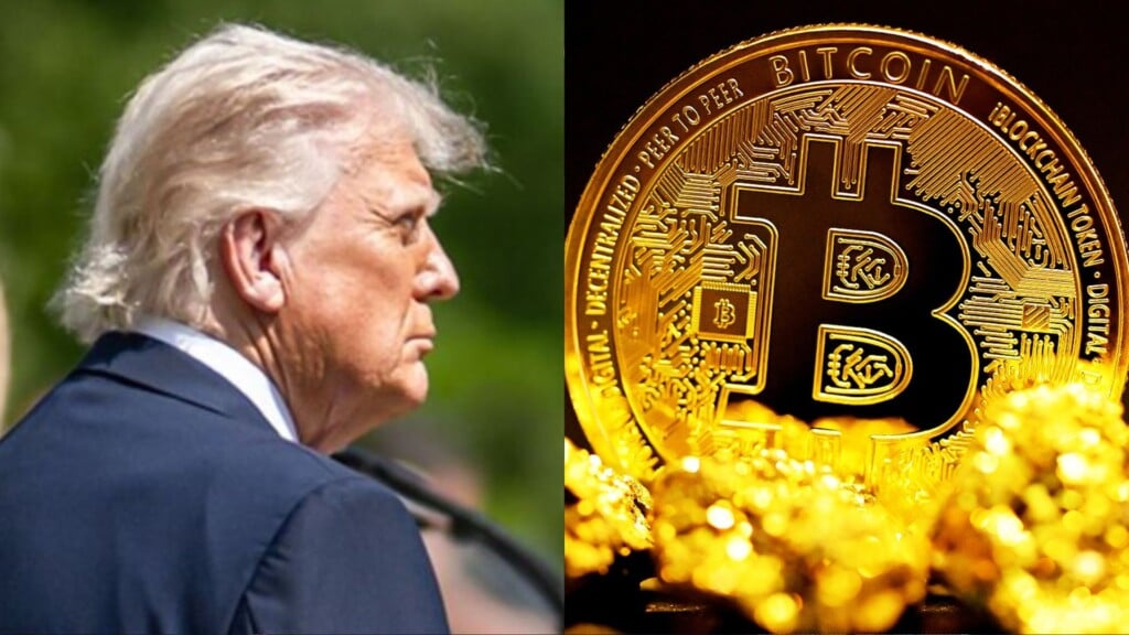 Trump Crypto