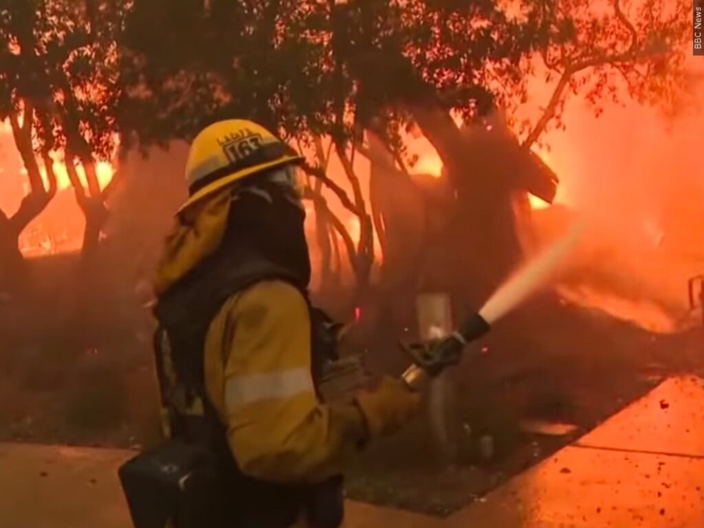 Las Angeles Wild Fire