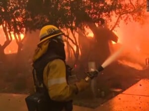 Las Angeles Wild Fire