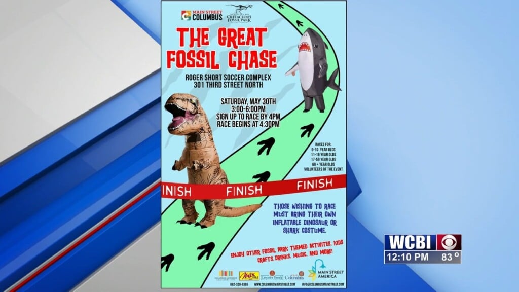 Midday (the Great Fossil Chase) 05/27/26