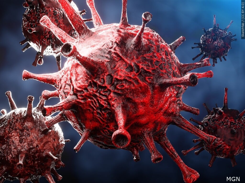 Hantavirus