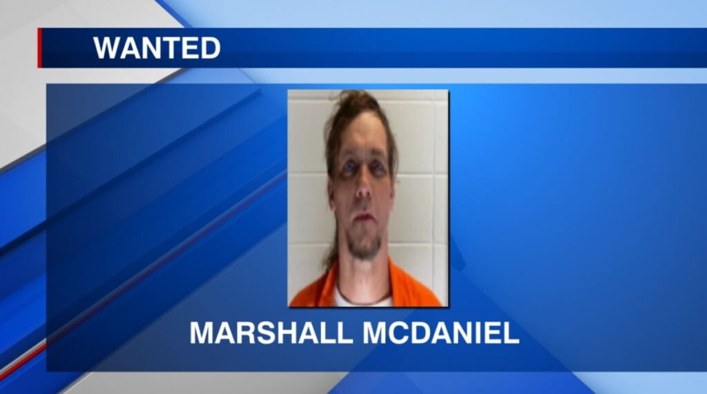 Mcdaniel Mug