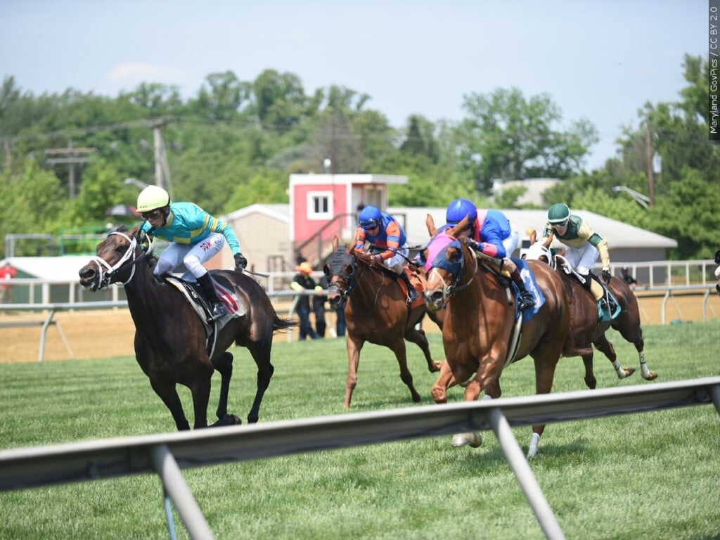 Preakness Racing
