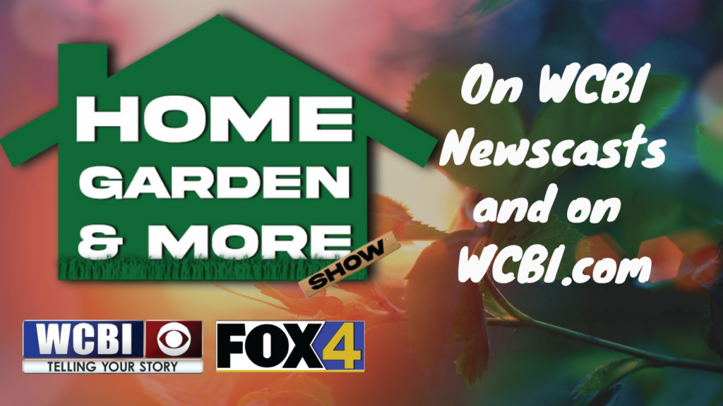 Home Garden More Website General Graphic
