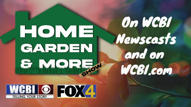 Home - WCBI TV | Telling Your Story