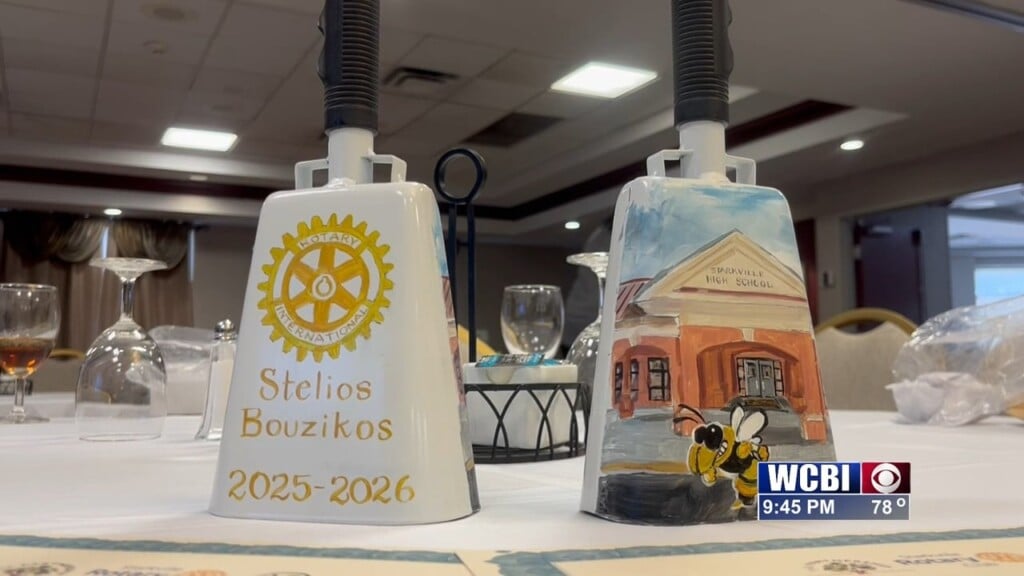Exchange Students Reflect On Year In Starkville