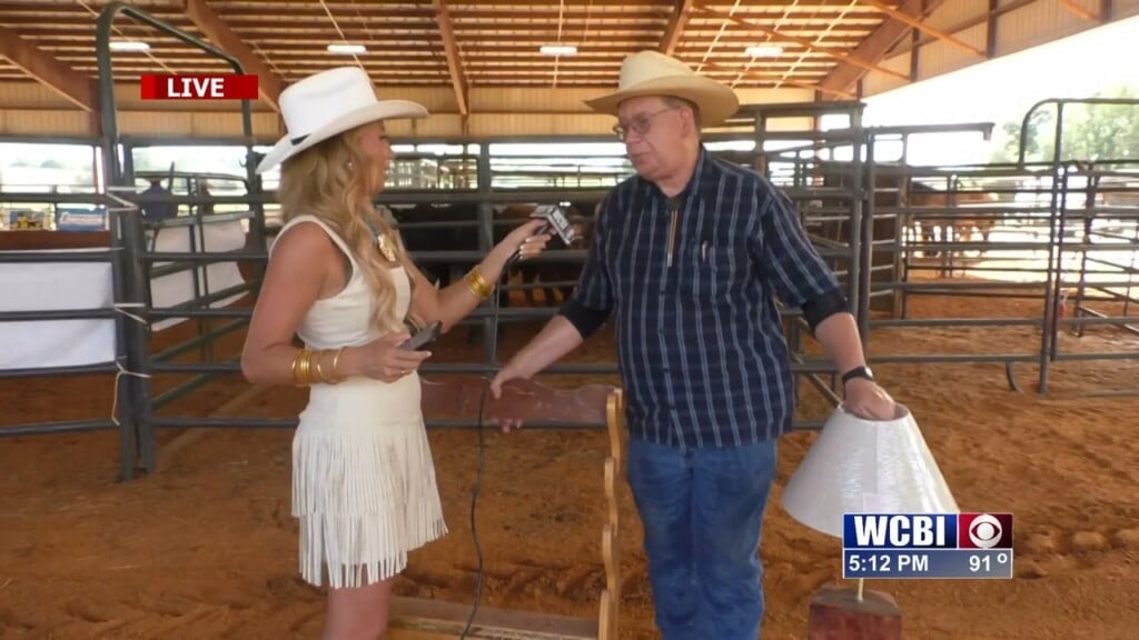 Wcbi News At 5 (clay Co. Sheriff's Rodeo: Live Shot With Kealy Shields)