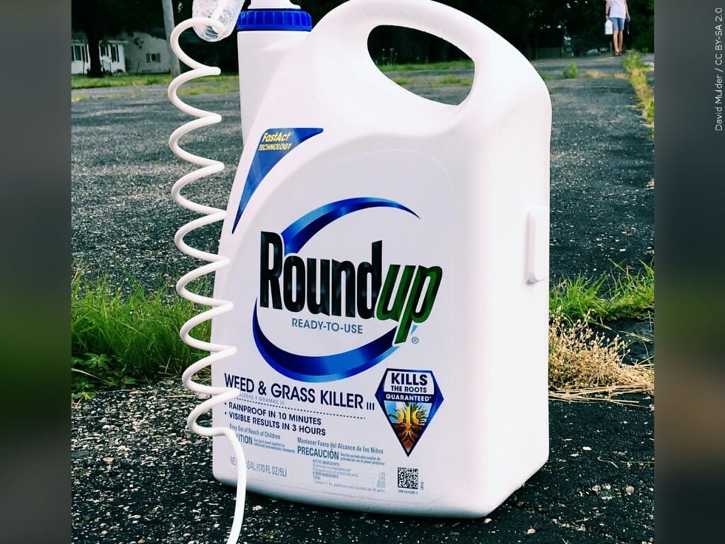 Roundup