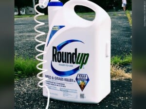 Roundup