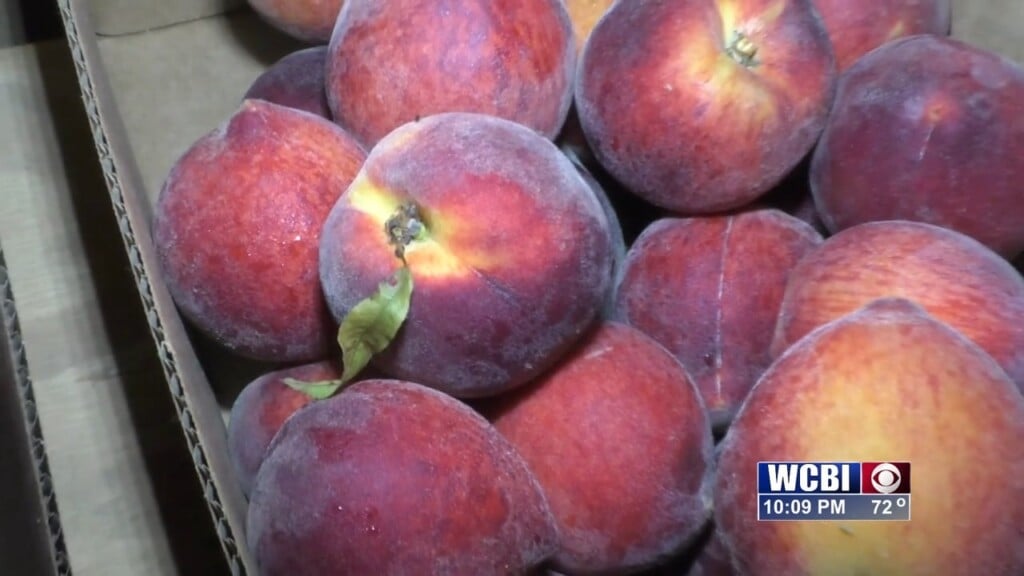 Peach Farmers And Sellers Impacted By Freeze From Early Spring