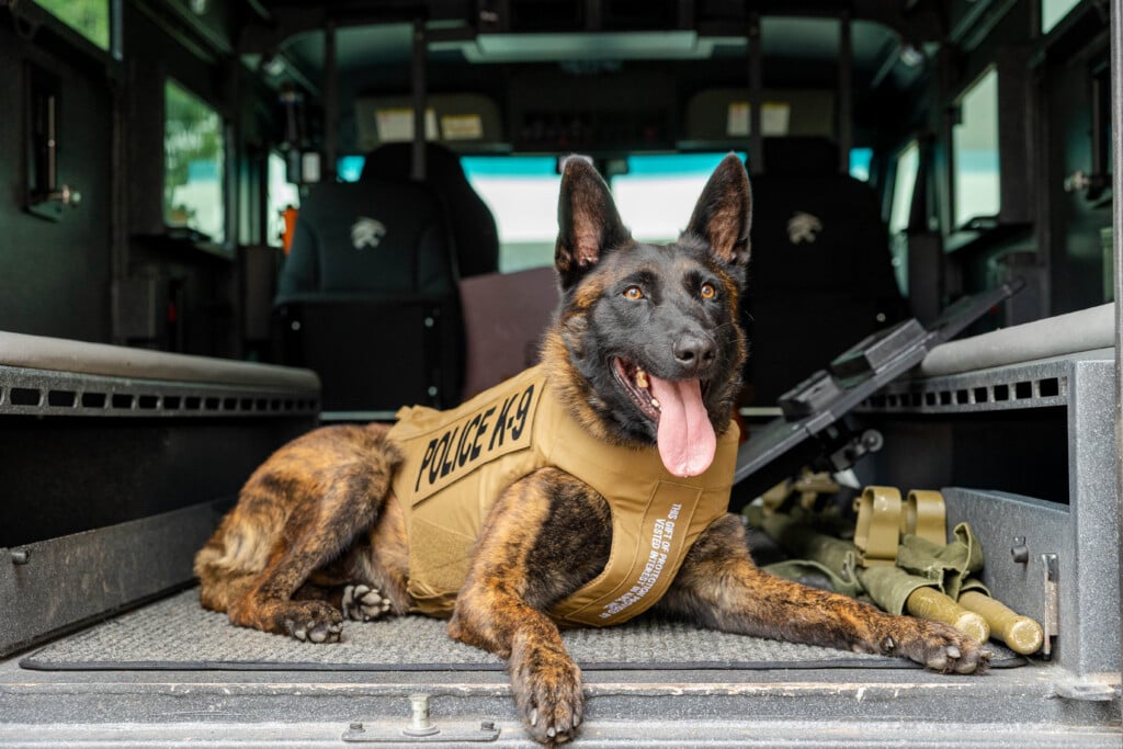 Alea K9 Toby