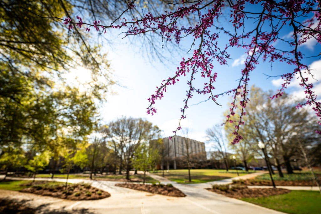 A springtime view of Mississippi State University. (Photo by Grace Cockrell)