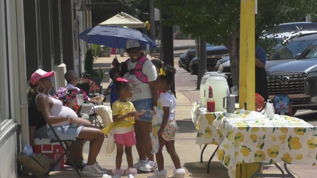 Su Lemonade Day Picture