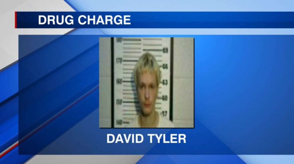 Teen faces a drug charge in Monroe Co.