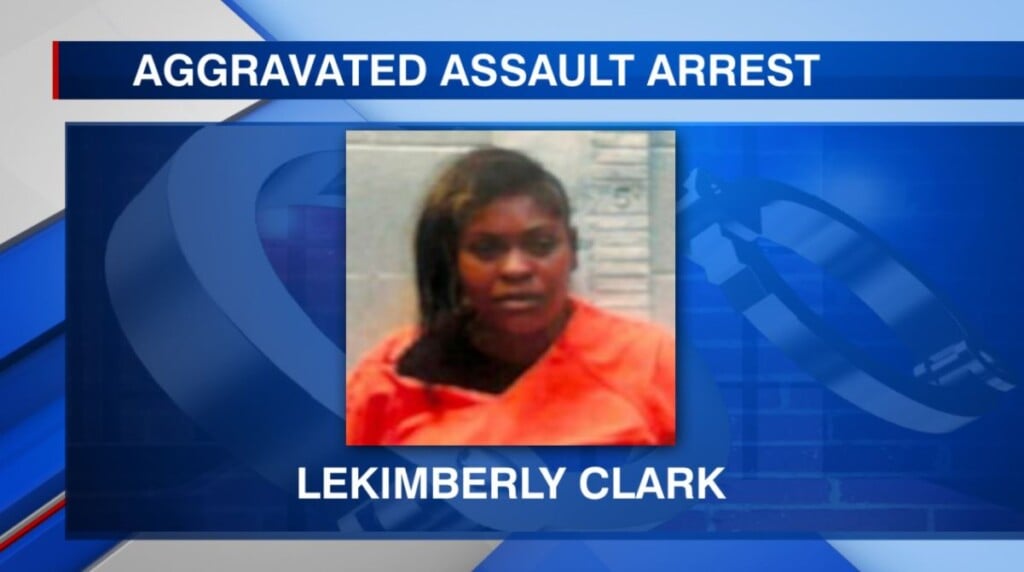 Noxubee Co. woman accused of using her car as a weapon