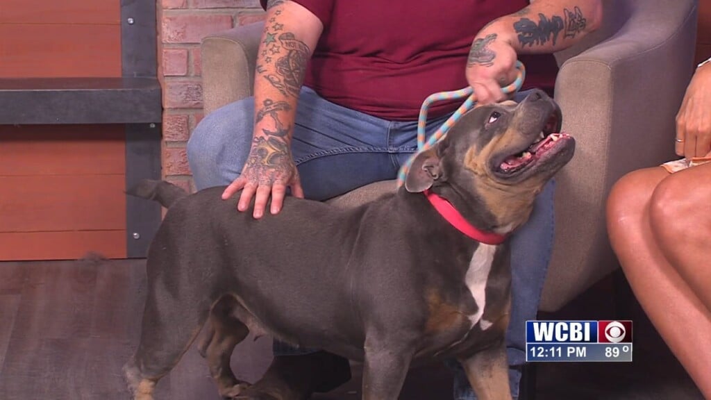 Pets Without Partners (maggie) 07/10/26