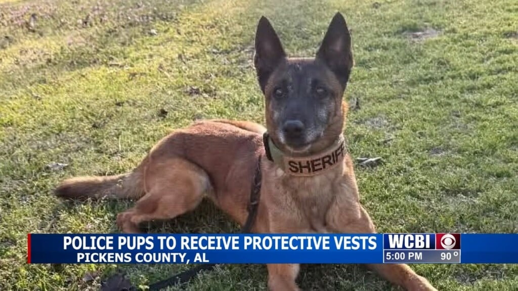 Two Pickens Co. Police K 9's Receive Extra Armor Through Generous Donation