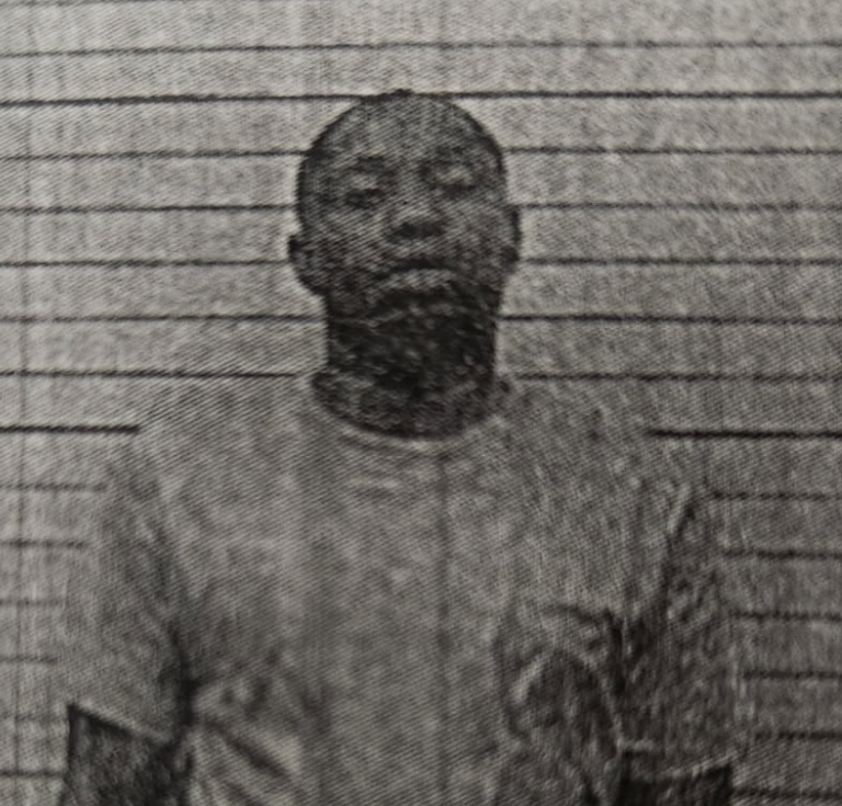 Dravis Holmes