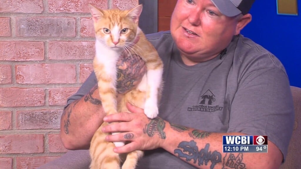 Pets Without Partners (robert) 08/14/26