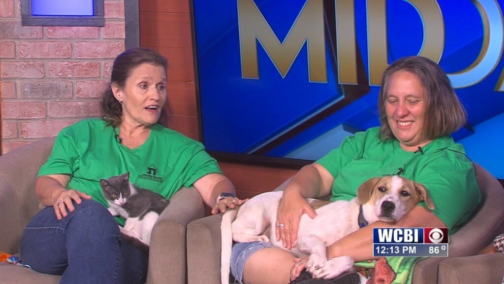Pets Without Partners (lady And Tucker) 08/21/26