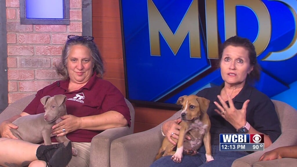 Pets Without Partners (burnice And Rebecca) 08/28/26