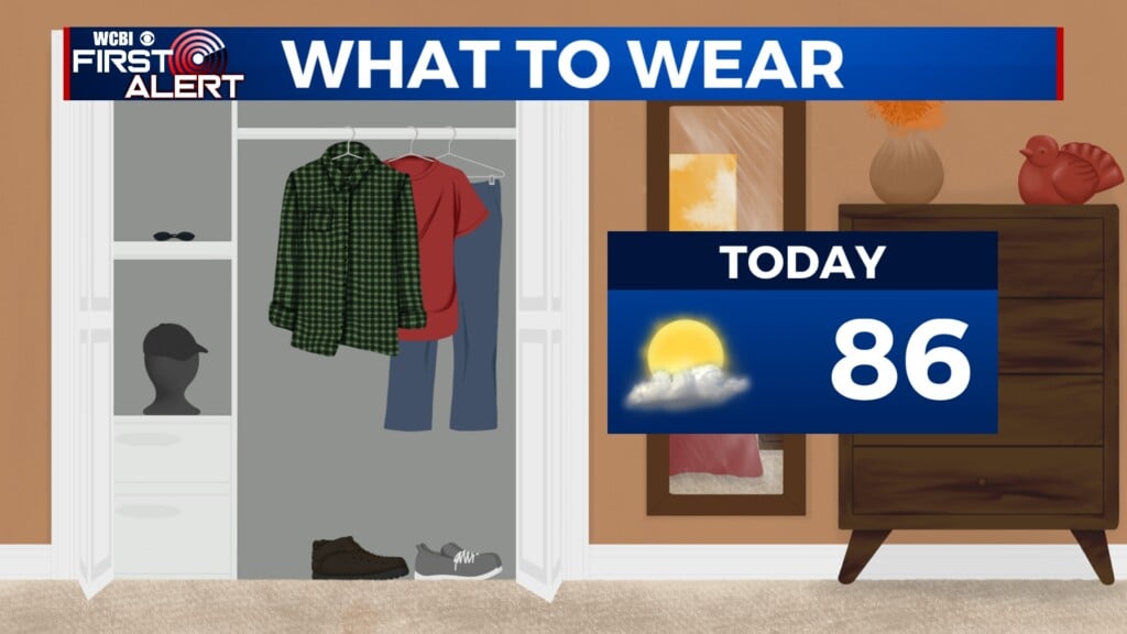 seasonable fall today