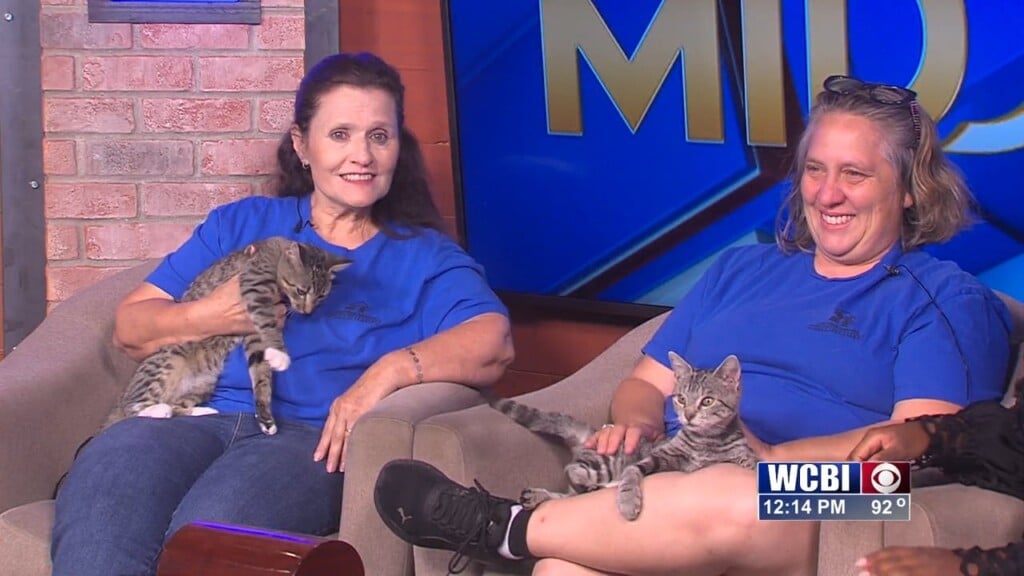 Pets Without Partners (buck And Princess) 09/04/26