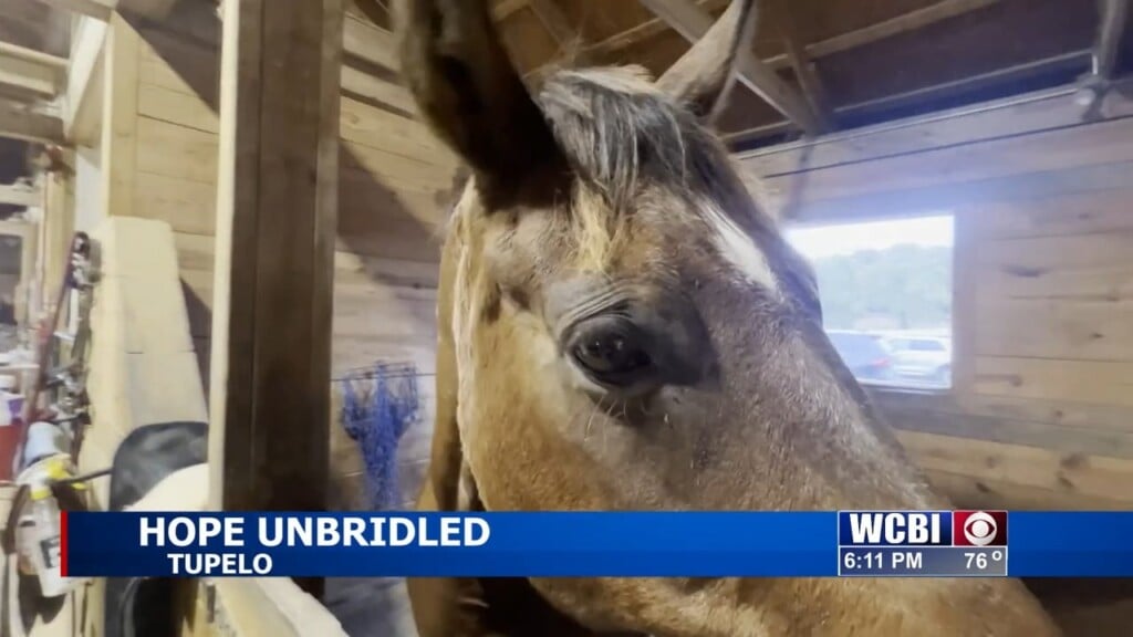 Healing On Horseback With Hope Unbridled Equestrian Program