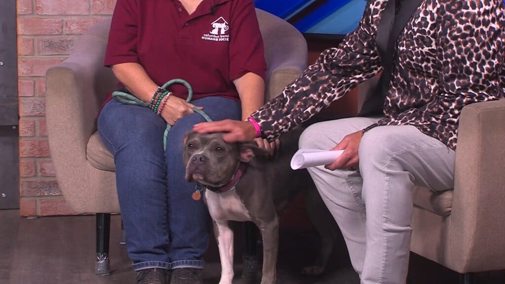 Pets Without Partners (sky) 10/09/26