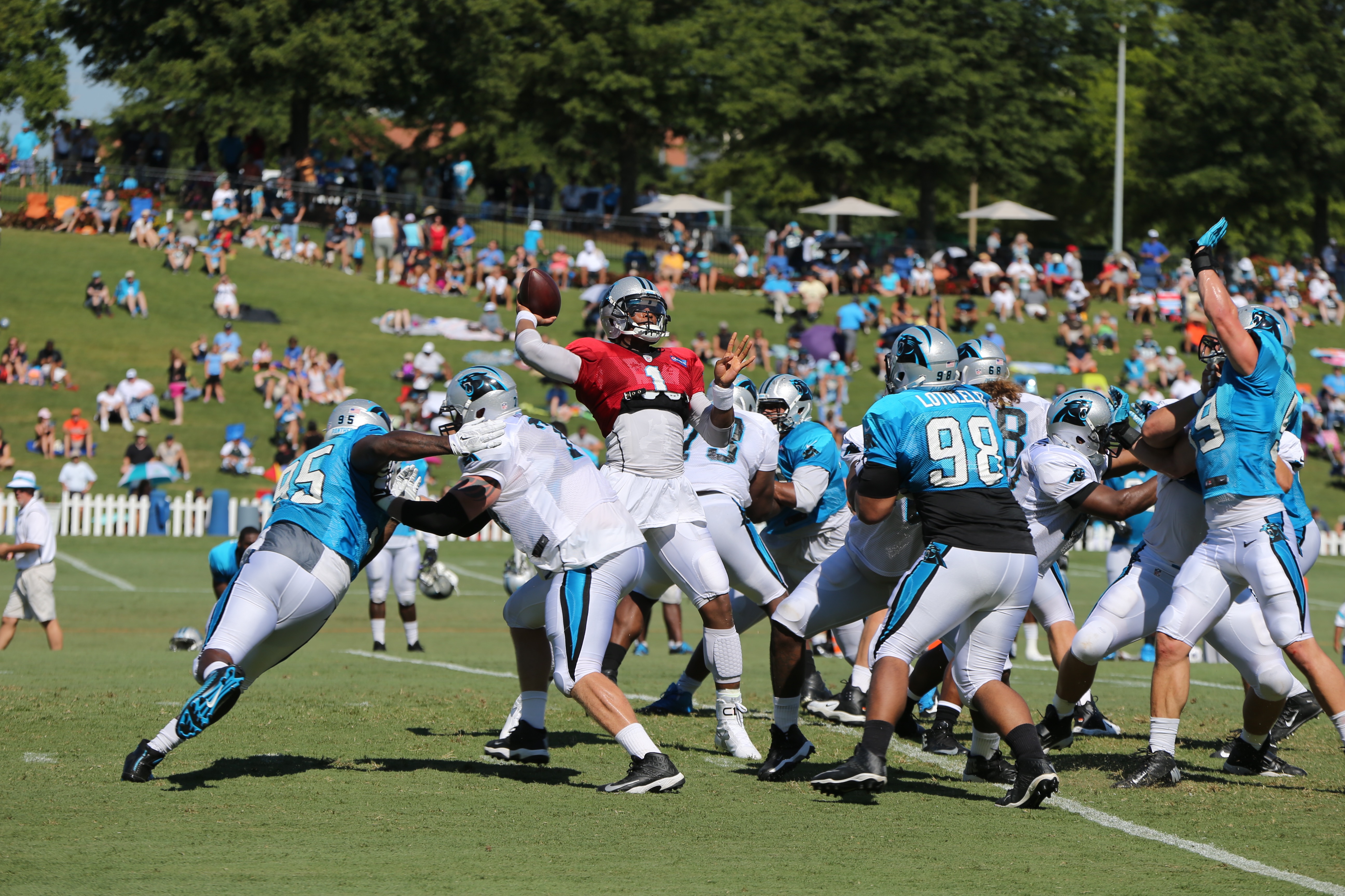 Panthers Training Camp 