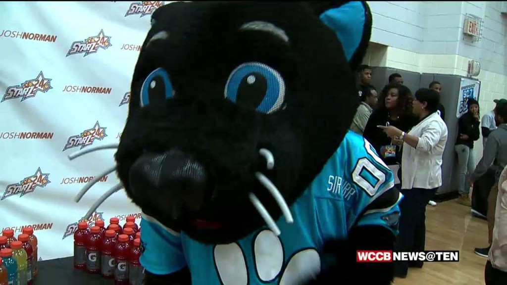 Sir Purr