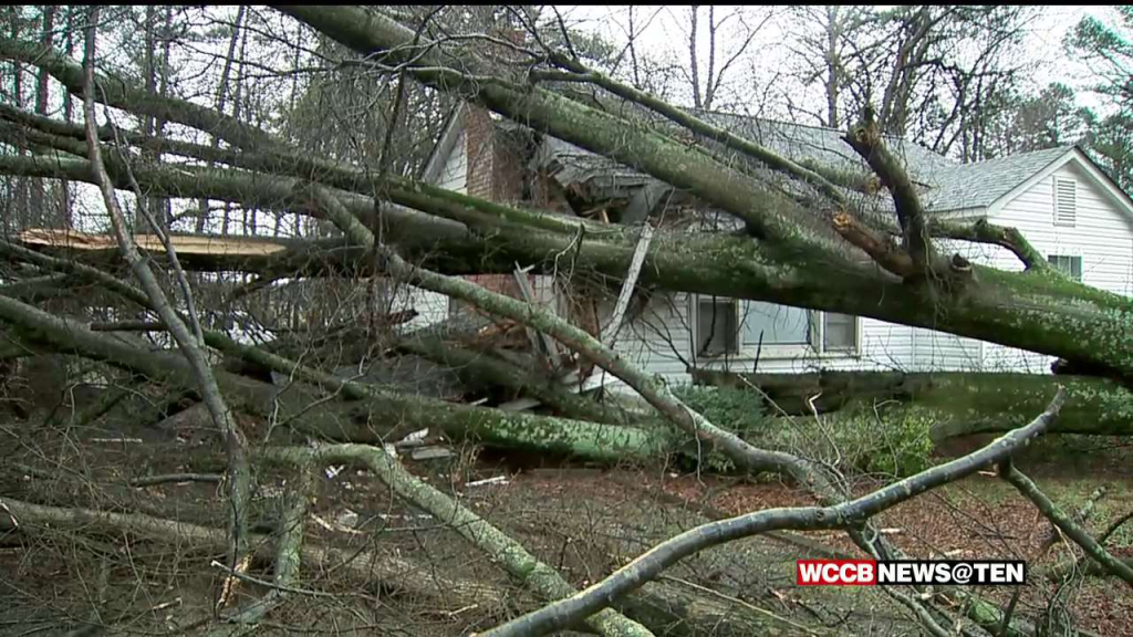 Storm Topples Trees Knocks Out Power To Thousands